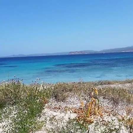 Accogliente Trilocale Con Terrazzo Vista Mare, Mirice - Vignola Mare Apartment *